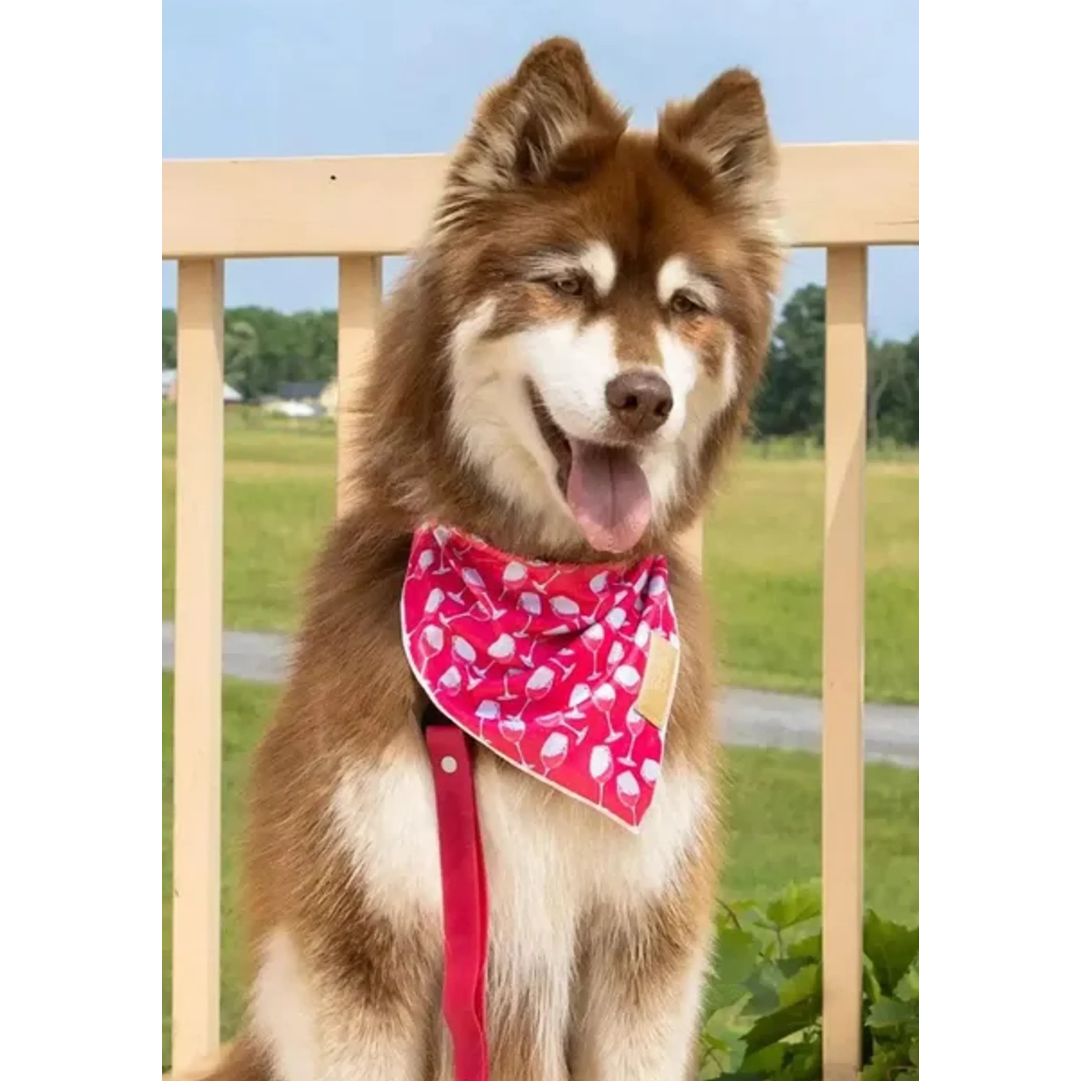Red Mountain Syrah Dog Bandana & Matching Keychain