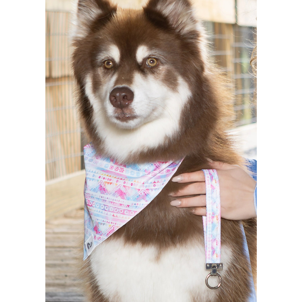 Pink and Blue Tribal Dog Bandana & Matching Keychain