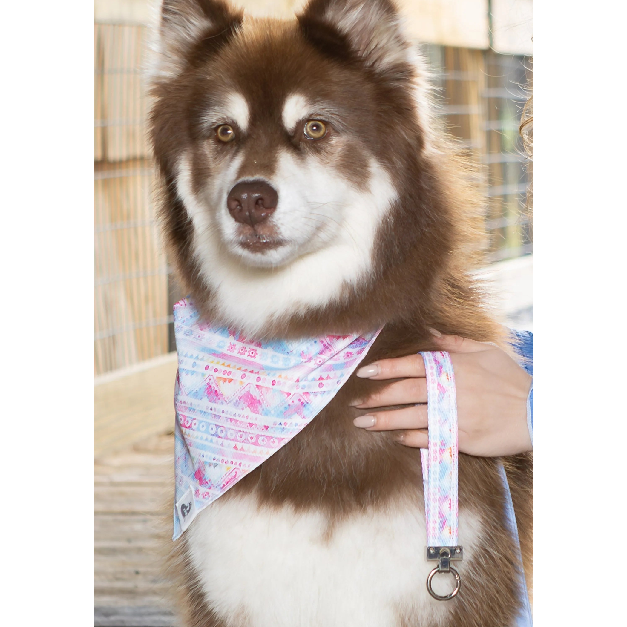 Pink and Blue Tribal Dog Bandana & Matching Keychain