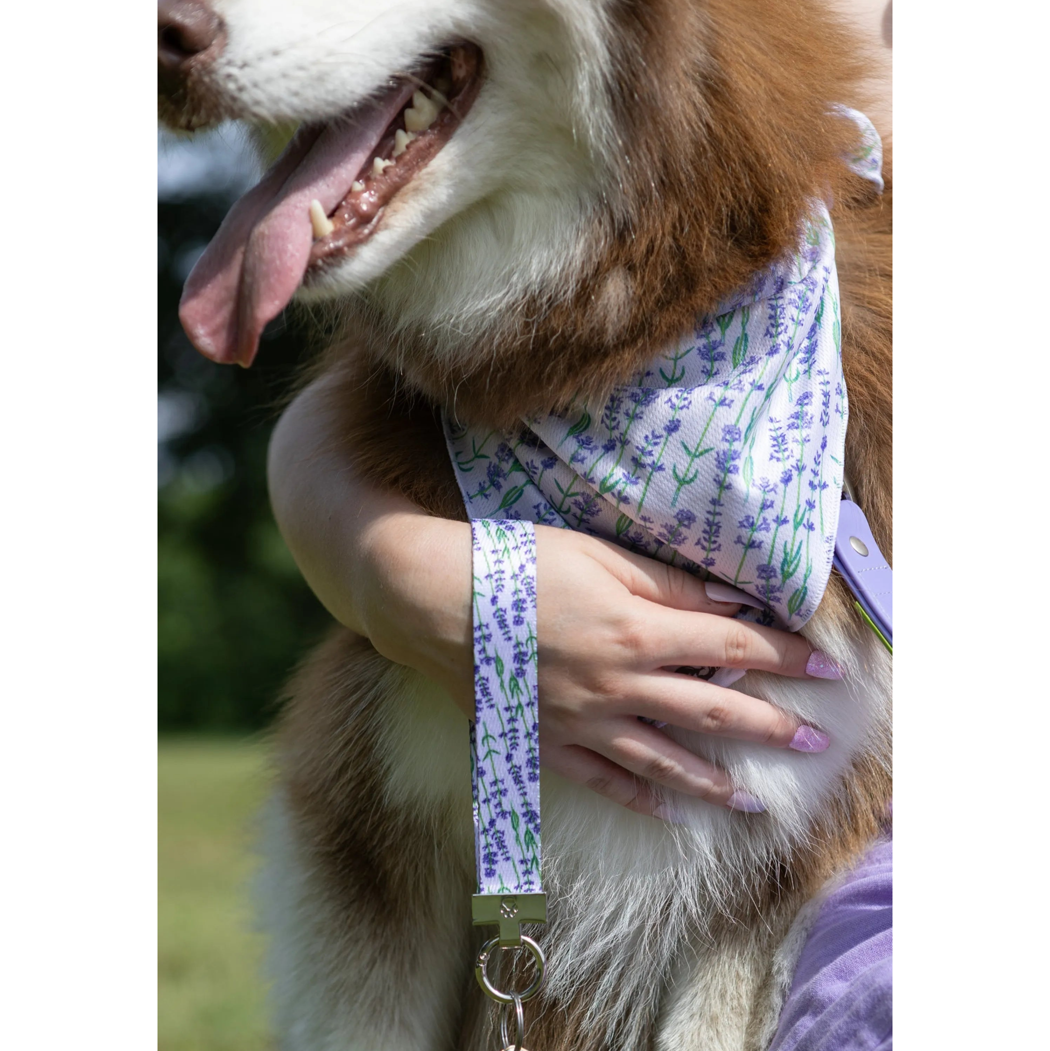 Lavender Blooms Dog Bandana & Matching Keychain