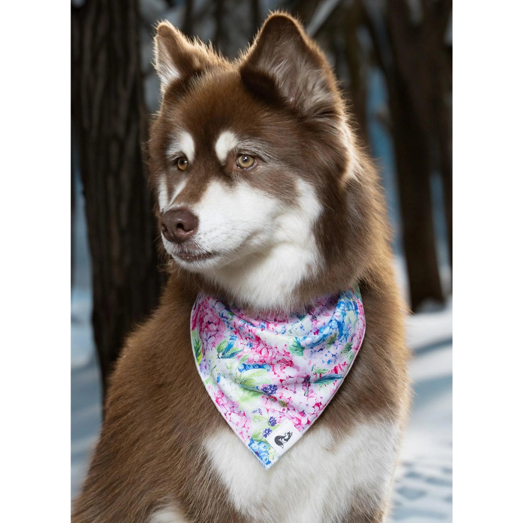 Hydrangea Haven Dog Bandana & Matching Keychain