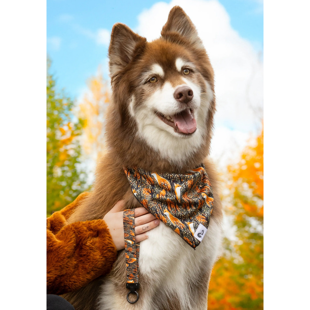 Foxes in Fall Dog Bandana & Matching Keychain