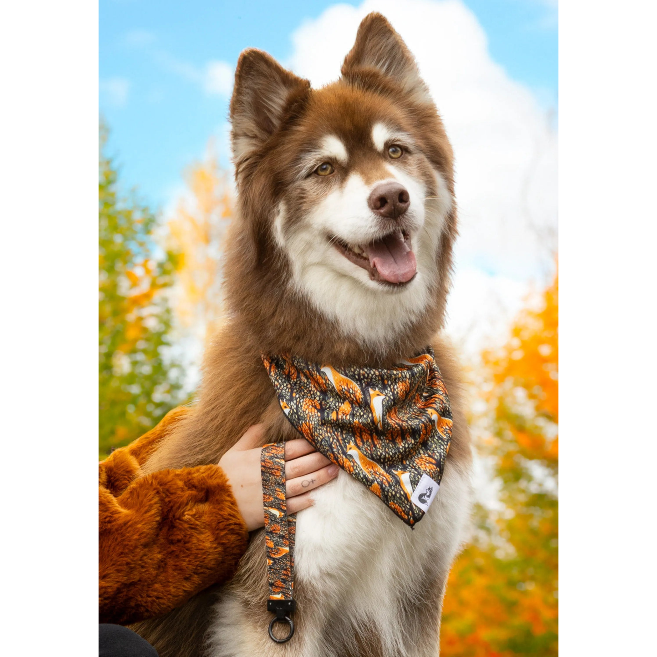 Foxes in Fall Dog Bandana & Matching Keychain