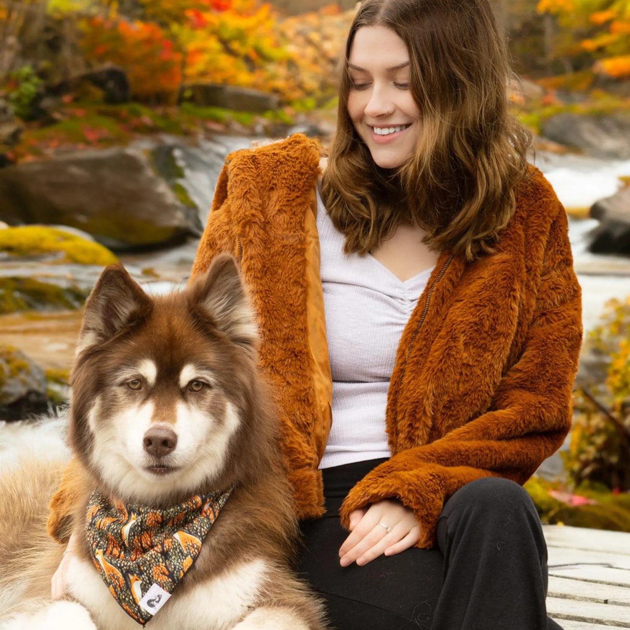 Foxes in Fall Dog Bandana & Matching Keychain