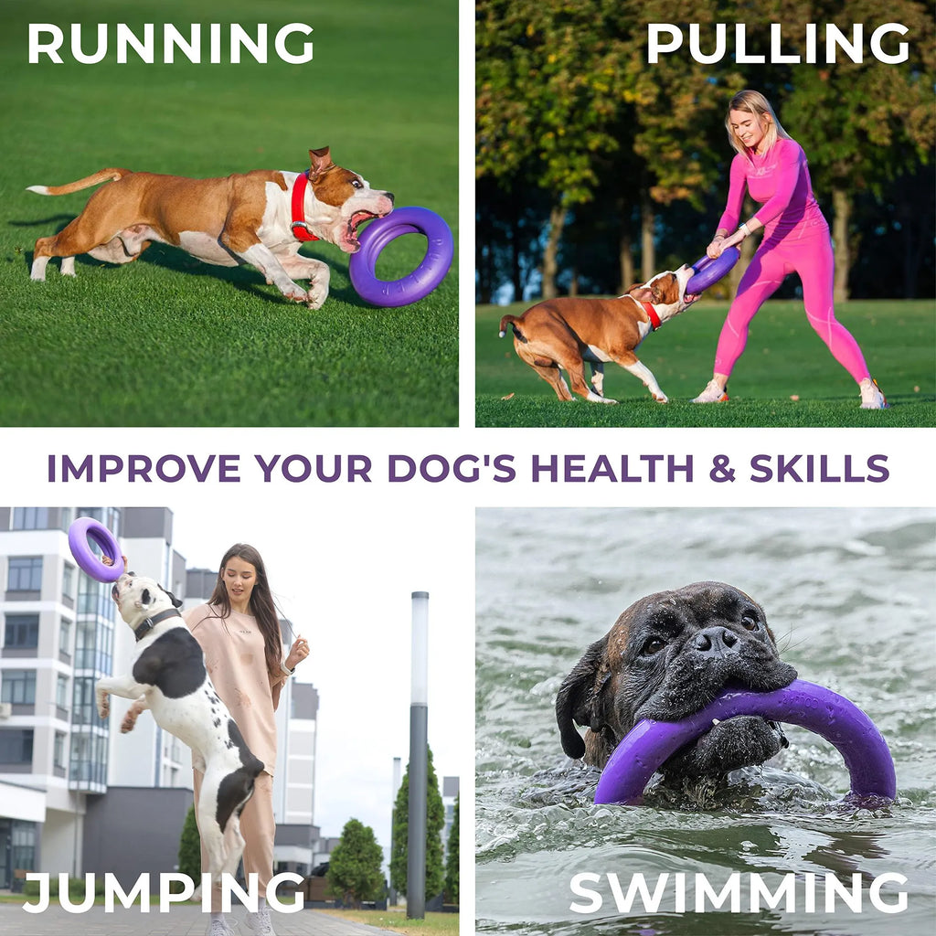 The PULLER Fitness & Training Dog Ring (Large Dog)
