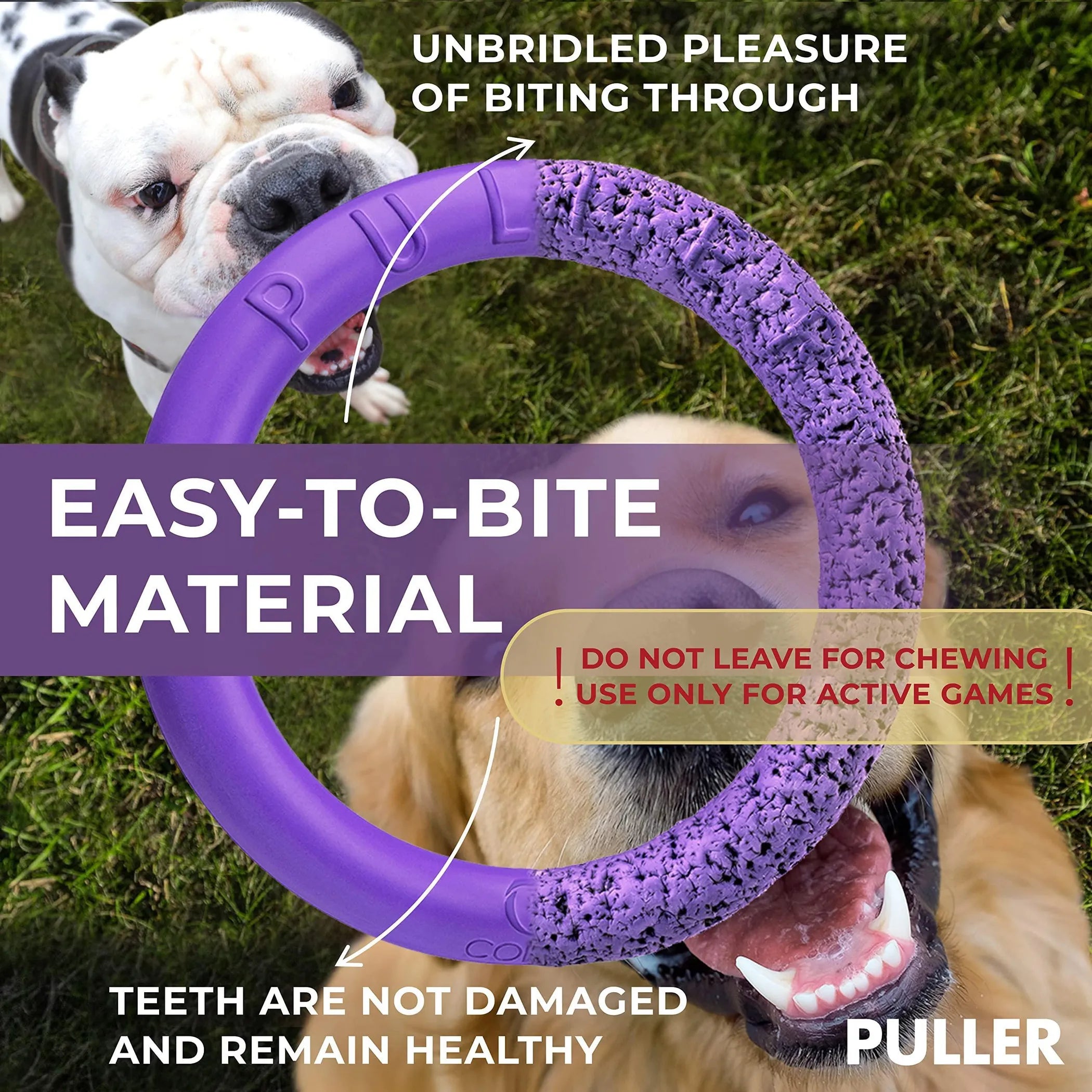 The PULLER Fitness & Training Dog Ring (Large Dog)