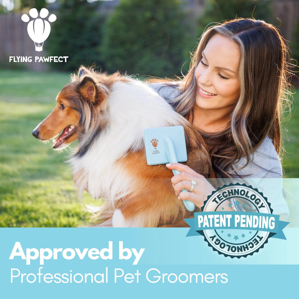 Curved Pet Slicker Brush (2 Colors and 3 Sizes Available)