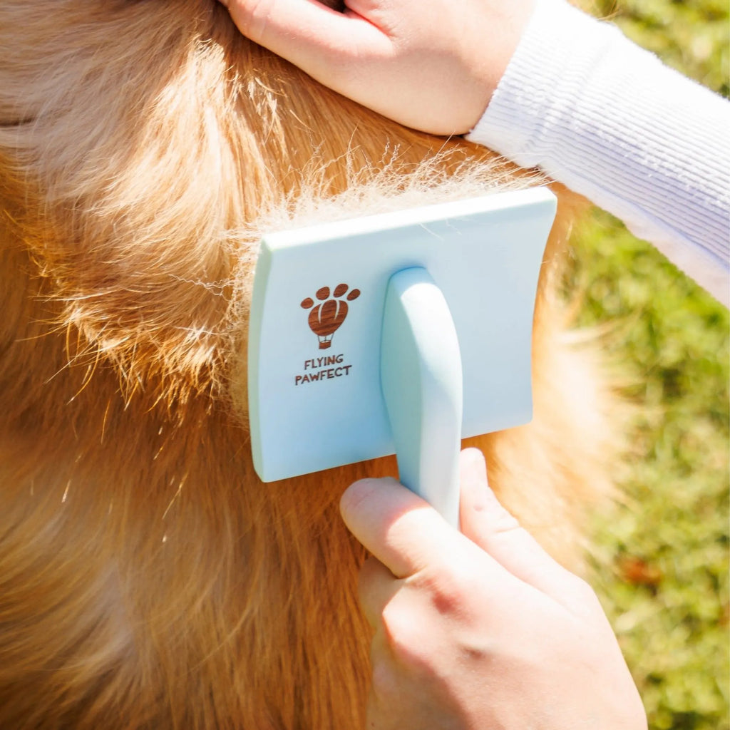 Curved Pet Slicker Brush (2 Colors and 3 Sizes Available)