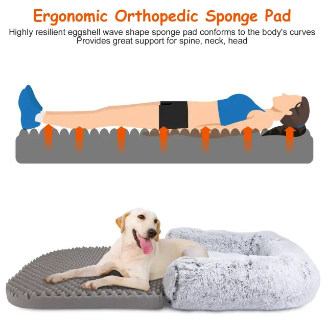 Human-Sized Dog Bed with Pillow & Blanket
