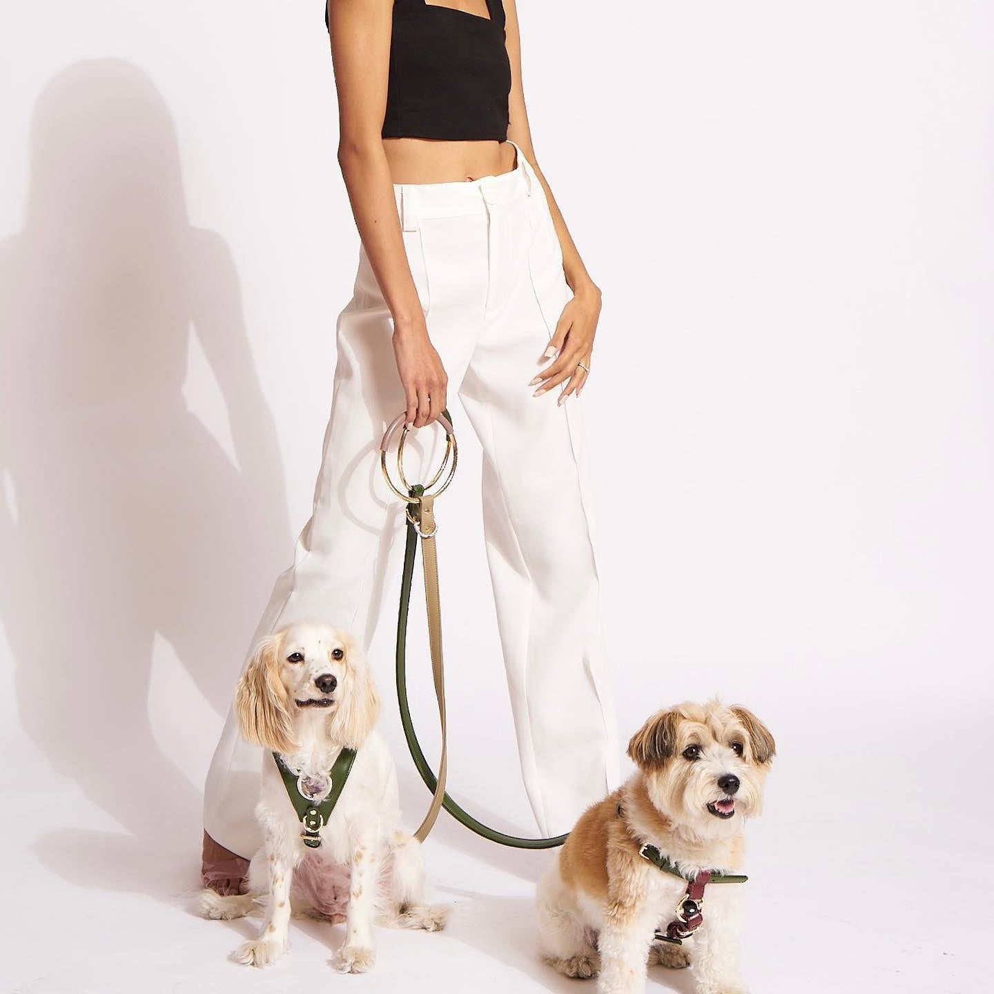 Hoopsy Leash (2 Colors Available)