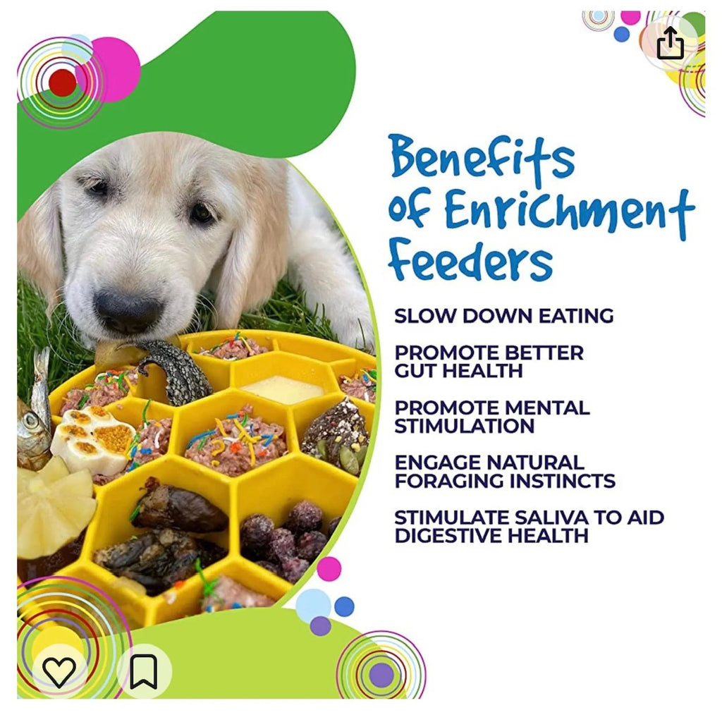 Honeycomb eBowl Deep Slow Feeder Pet Bowl for Enrichment