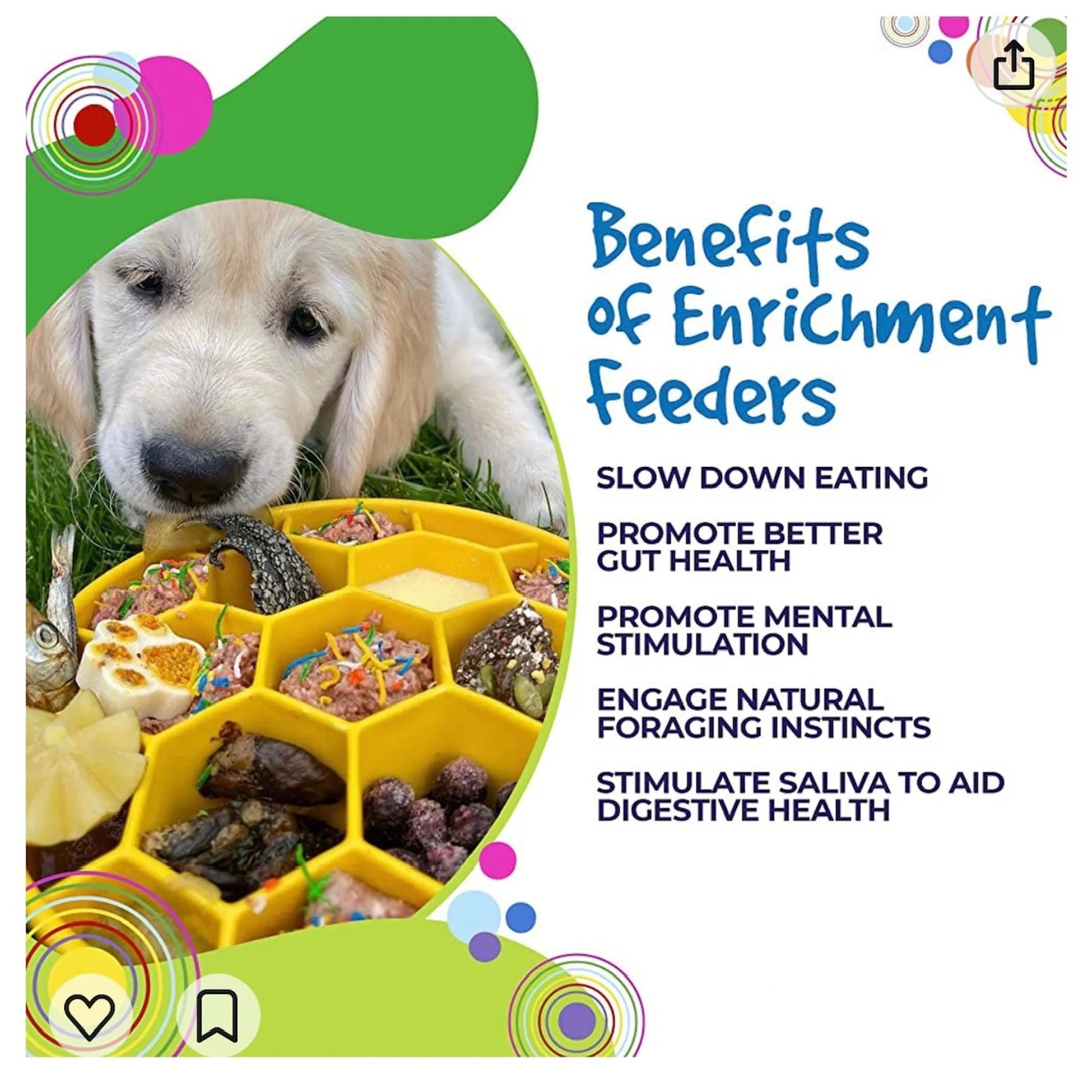 Honeycomb eBowl Deep Slow Feeder Pet Bowl for Enrichment
