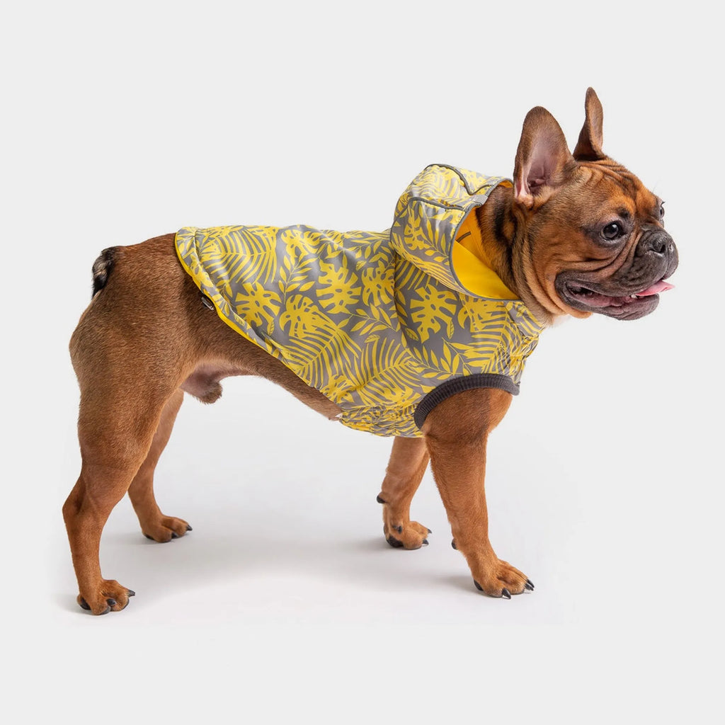 Elasto‑Fit Reversible Raincoat (4 Colors Available)