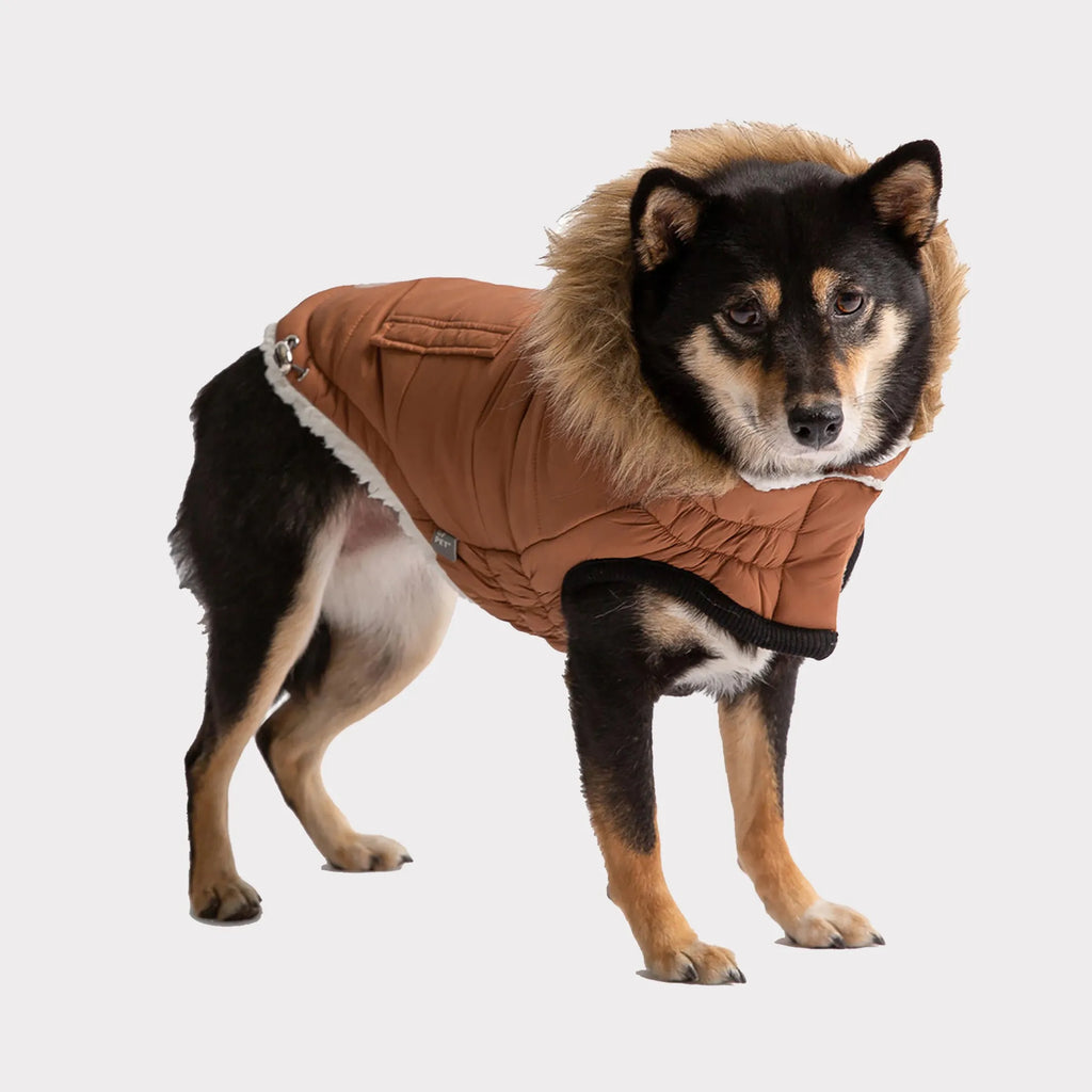 Pet  Elasto‑Fit Urban Dog Parka (2 Colors Available)