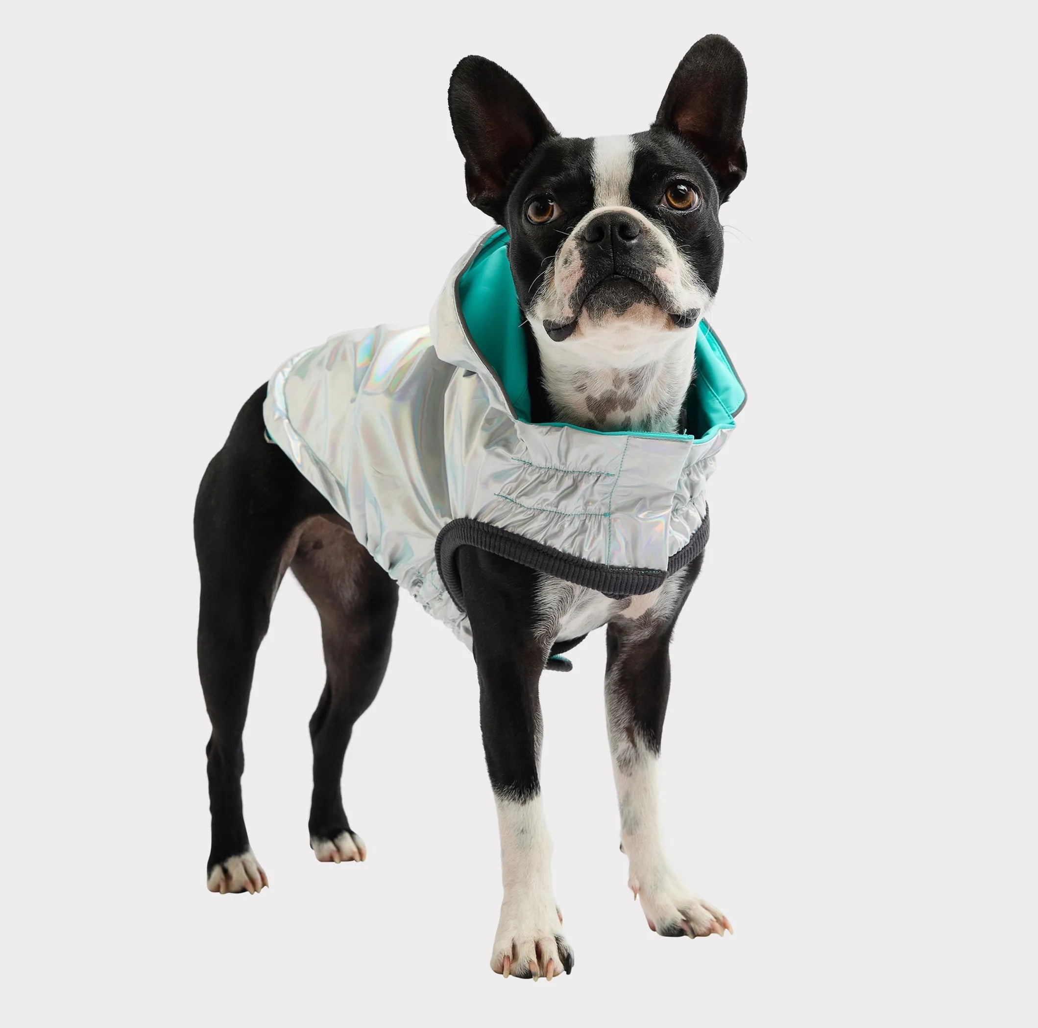 Pet Elasto‑Fit Reversible Raincoat (2 Colors Available)