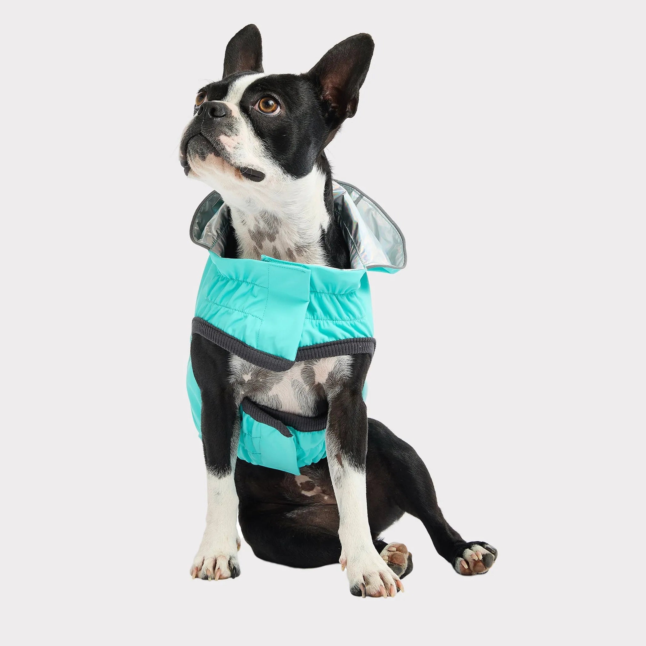 Pet Elasto‑Fit Reversible Raincoat (2 Colors Available)