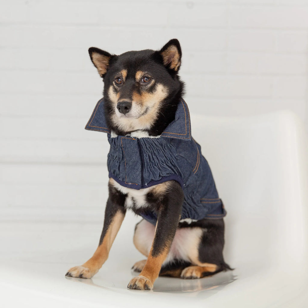 Elasto-Fit Denim Pet Jacket