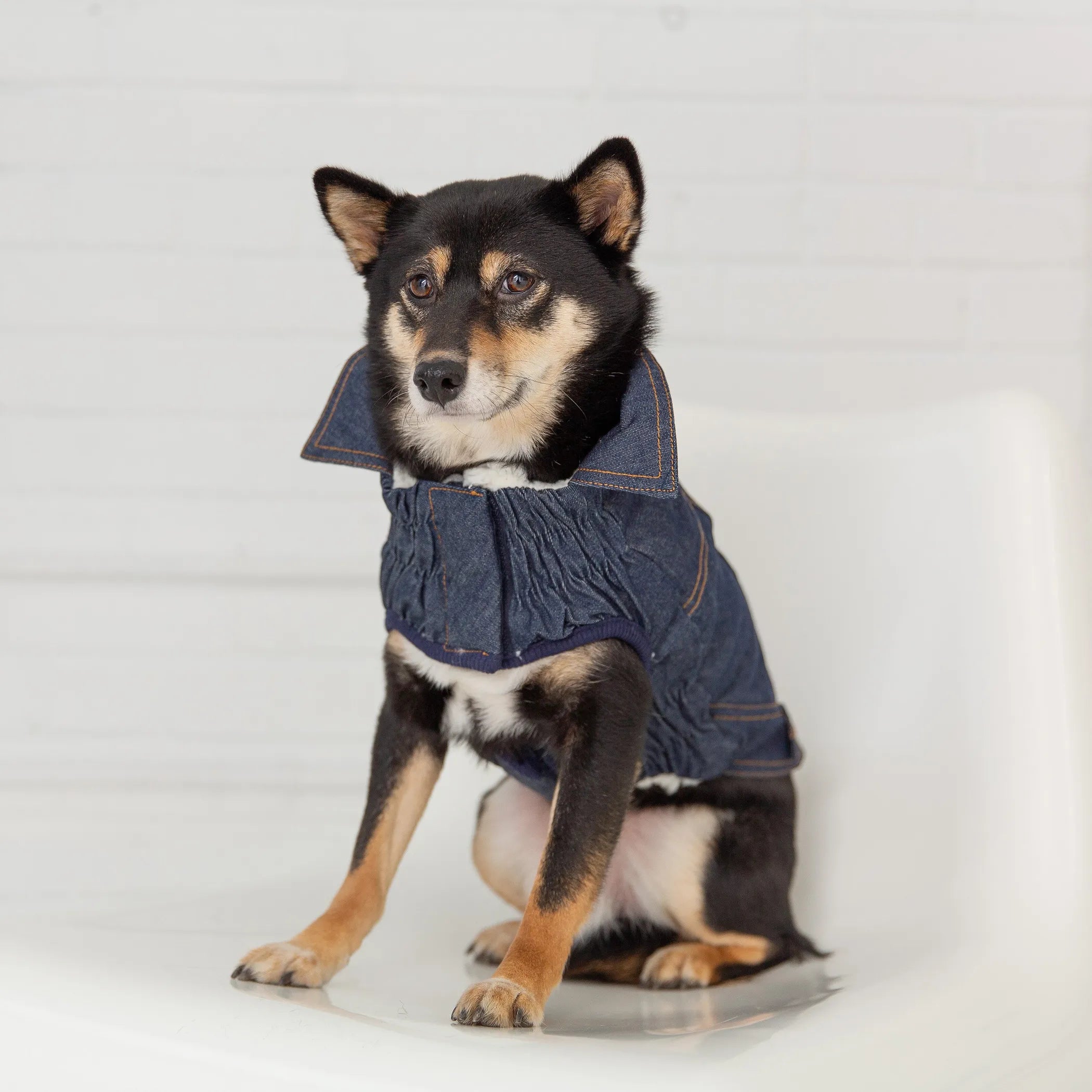 Elasto-Fit Denim Pet Jacket
