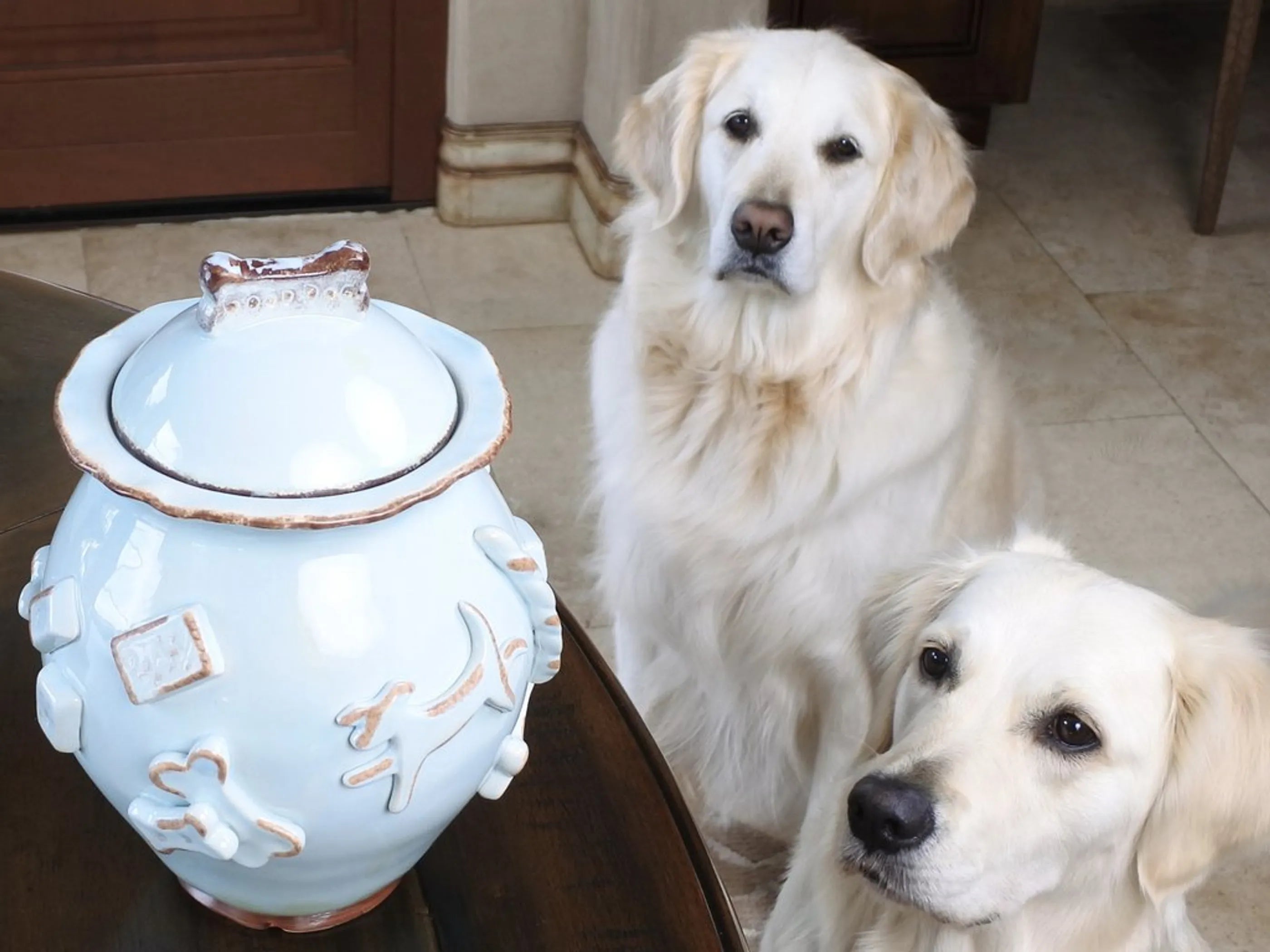 Carmel Ceramica | Dog Treat Jar (4 Colors Available)
