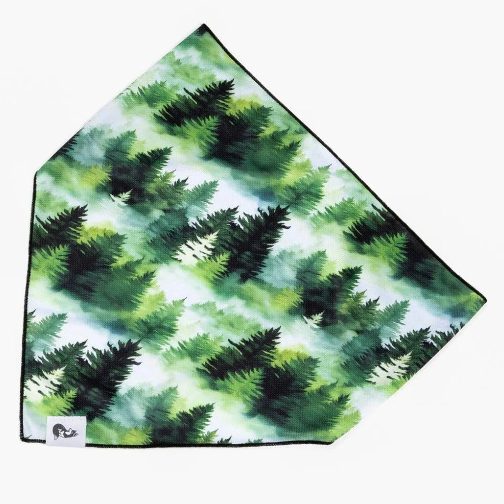 Evergreen Explorer Dog Bandana & Matching Keychain