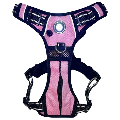 Pet Harness with Built In LED Light (6 Colors Available)