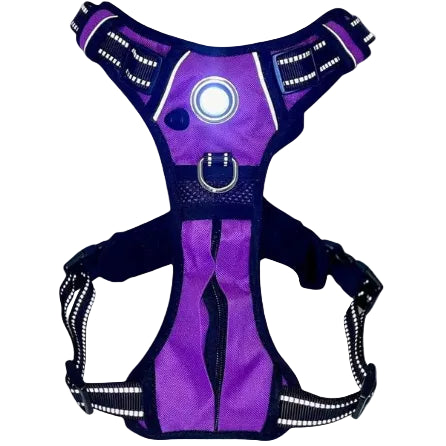 Pet Harness with Built In LED Light (6 Colors Available)