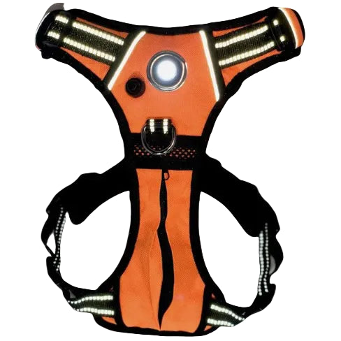 Pet Harness with Built In LED Light (6 Colors Available)