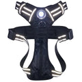 Pet Harness with Built In LED Light (6 Colors Available)