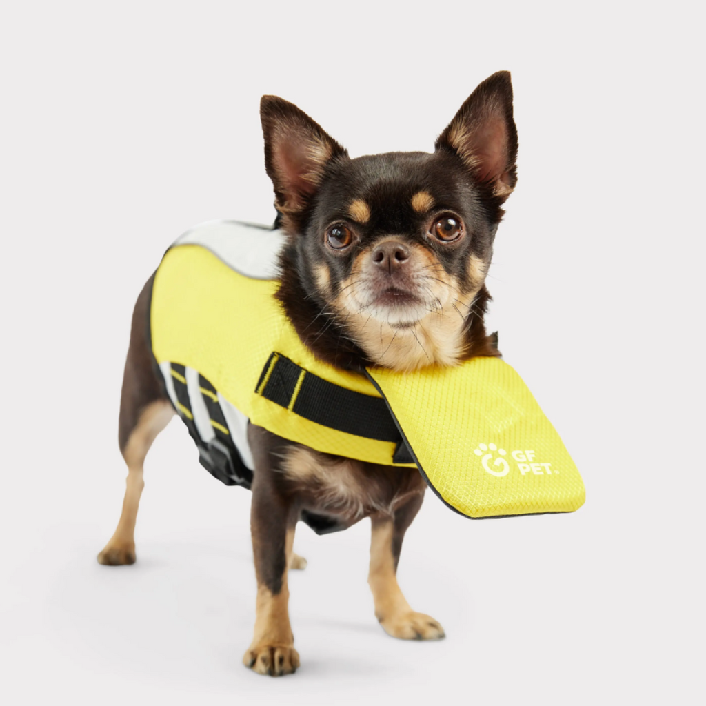 Pet Life Vest