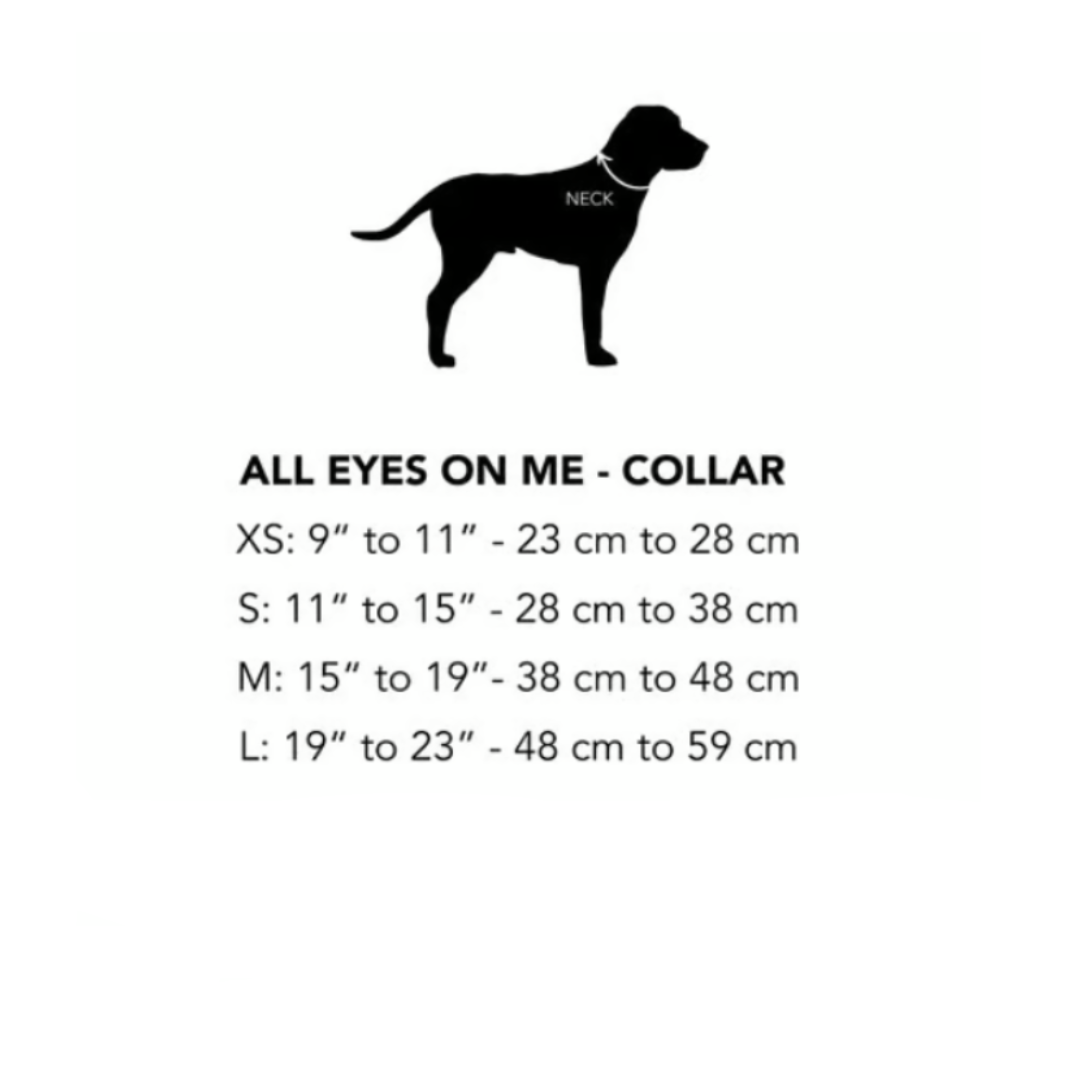All Eyes On Me Collar (5 colors Availabel)